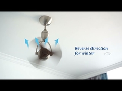 Modern 14 Inch Nickel DC Small Rotating Ceiling Fan Remote Control