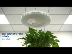 Smart App Control 20 Inch Flush Mount LED Ceiling Fan For Bedroom