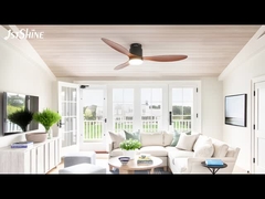 52-calowy silnik Dc z plastiku